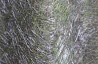 Runcton Holme fibreglass roof work